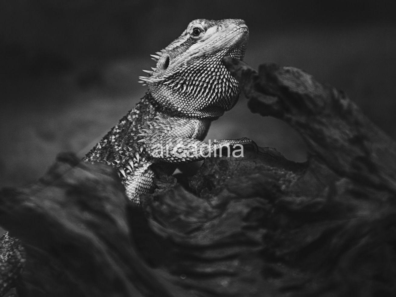 alicantedsoler - 43.jpg